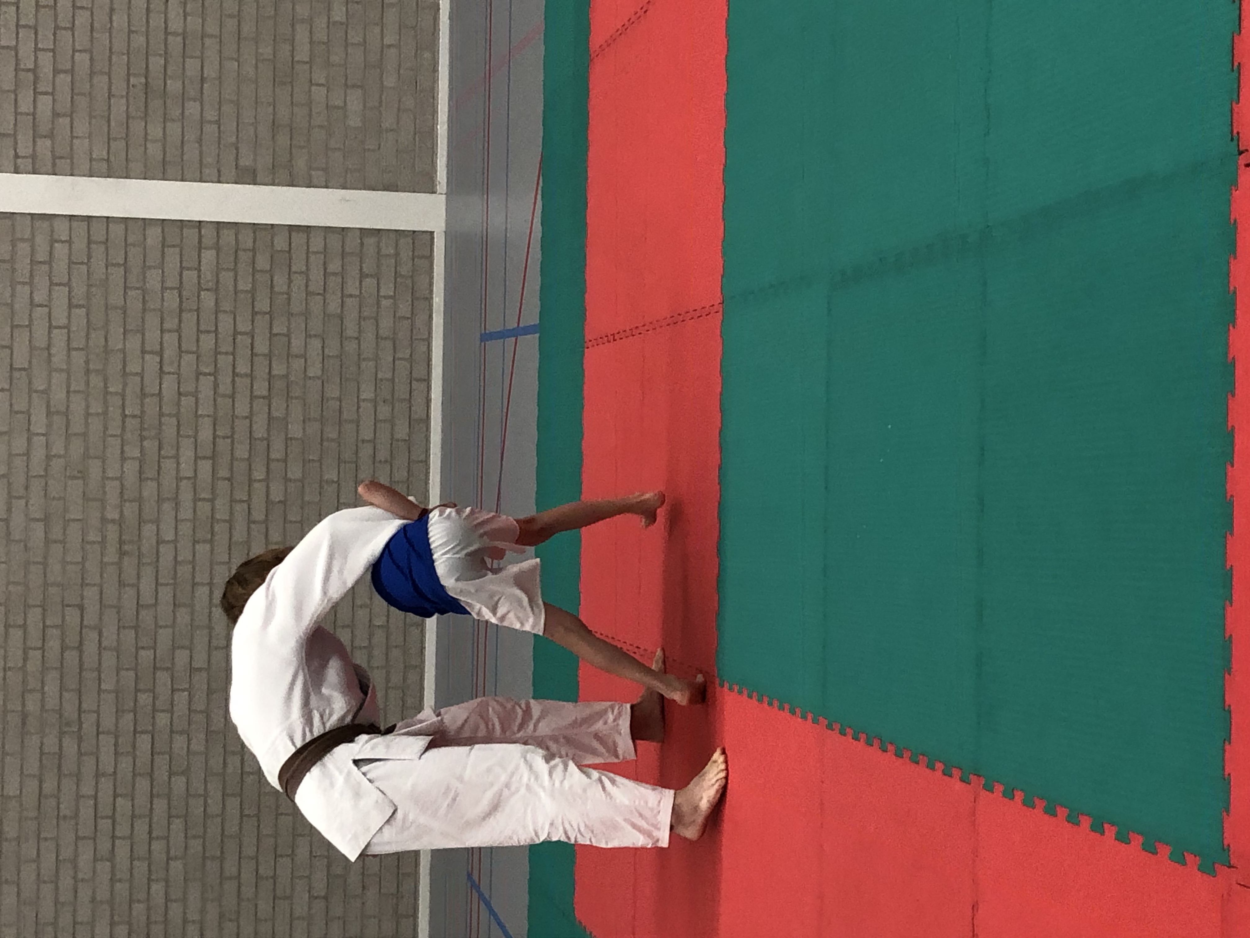 Bijna 5000 leerlingen krijgen tijdens gym een judoles
