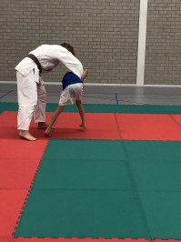 Bijna 5000 leerlingen krijgen tijdens gym een judoles